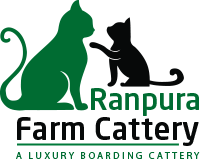 Ranpura Farm Cattery